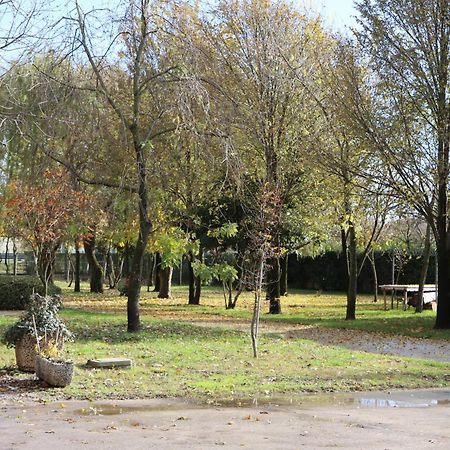 Bed and Breakfast Passion Horse'S House Fc Vigonza Exterior foto