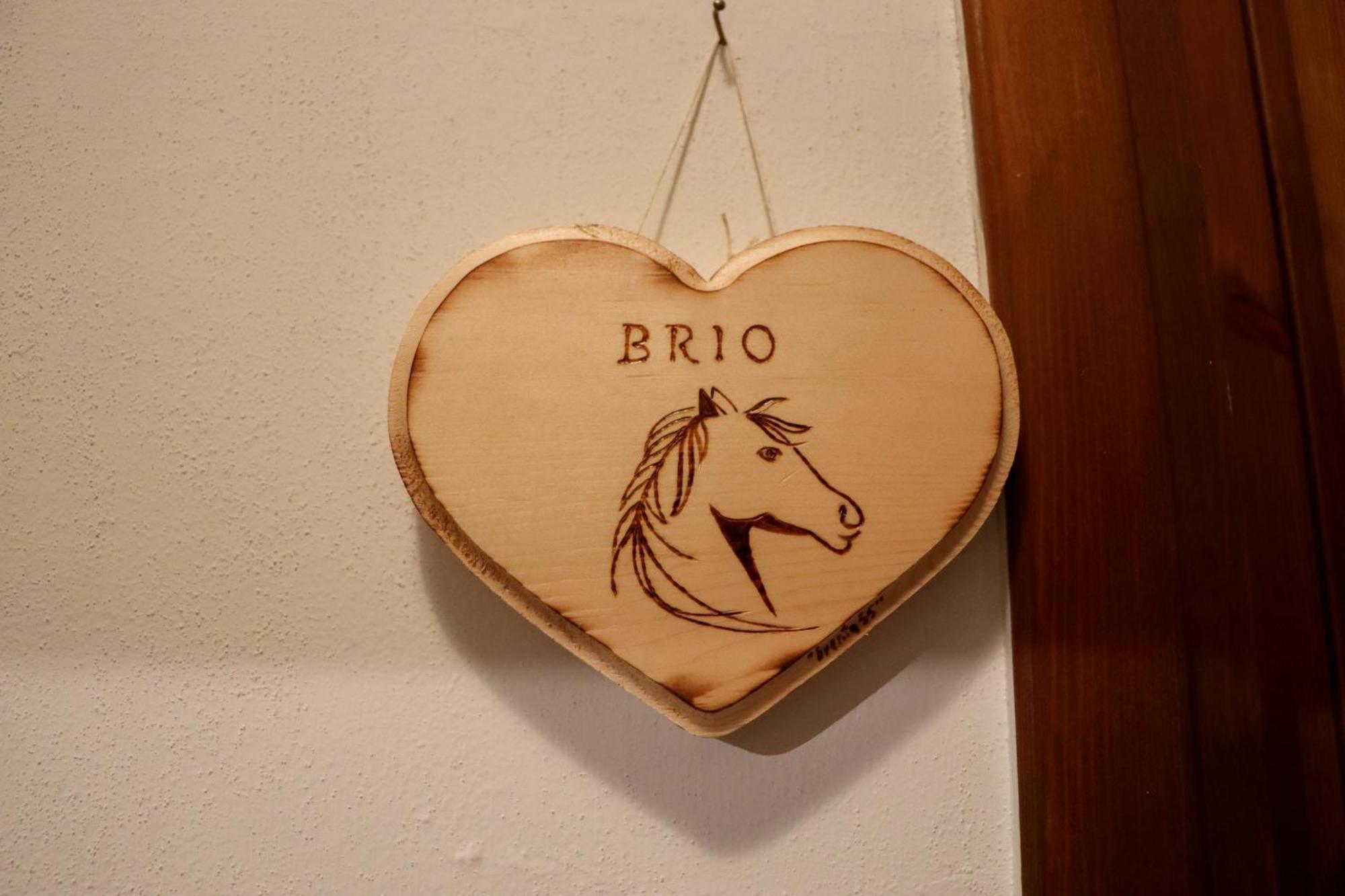 Bed and Breakfast Passion Horse'S House Fc Vigonza Exterior foto